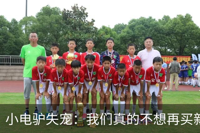 小电驴失宠：我们真的不想再买新车了